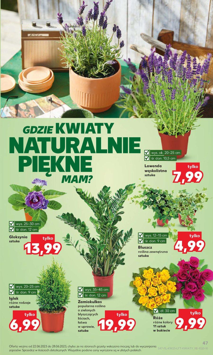 Gazetka promocyjna Kaufland str. 47