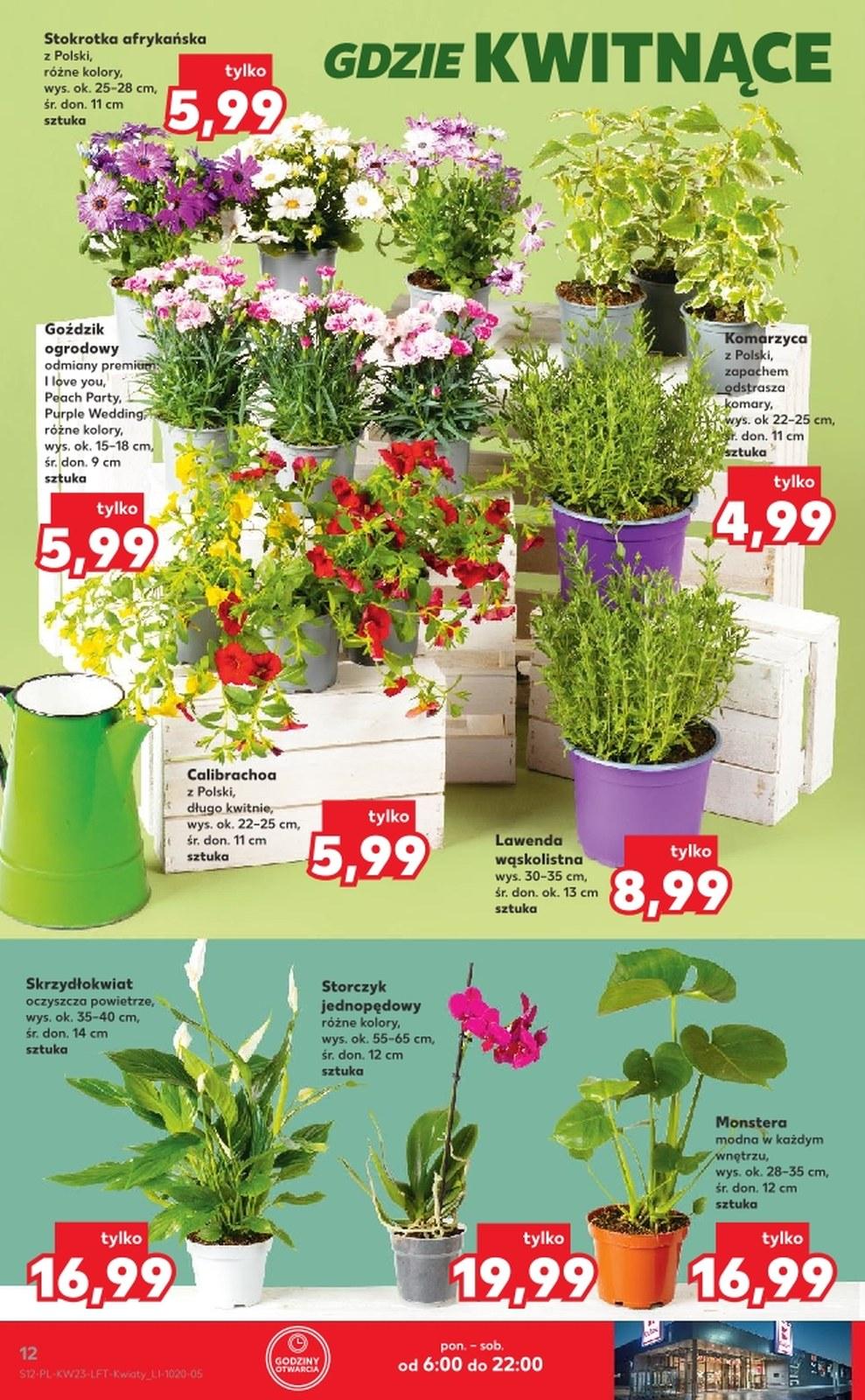 Gazetka promocyjna Kaufland str. 12