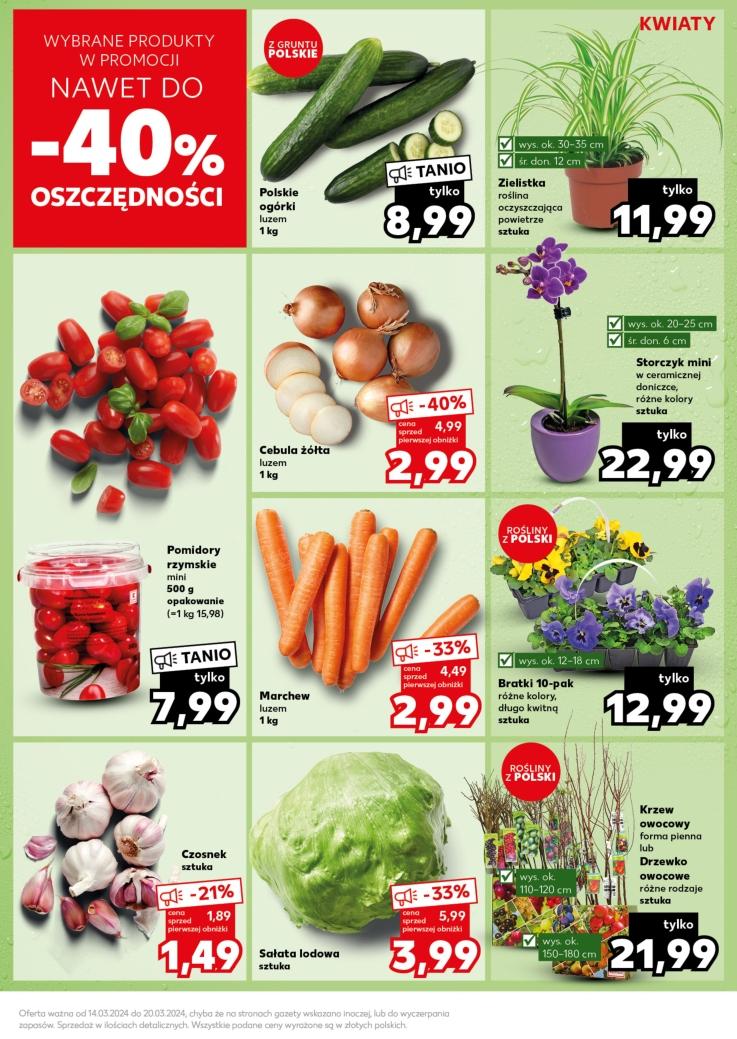 Gazetka promocyjna Kaufland str. 15