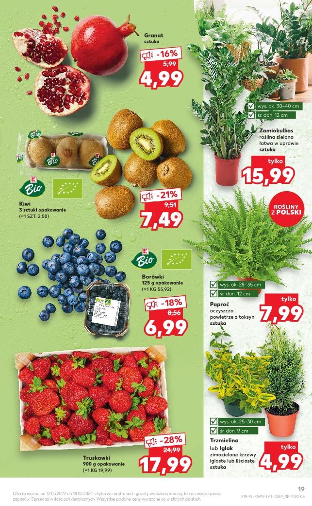 Gazetka promocyjna Kaufland str. 19
