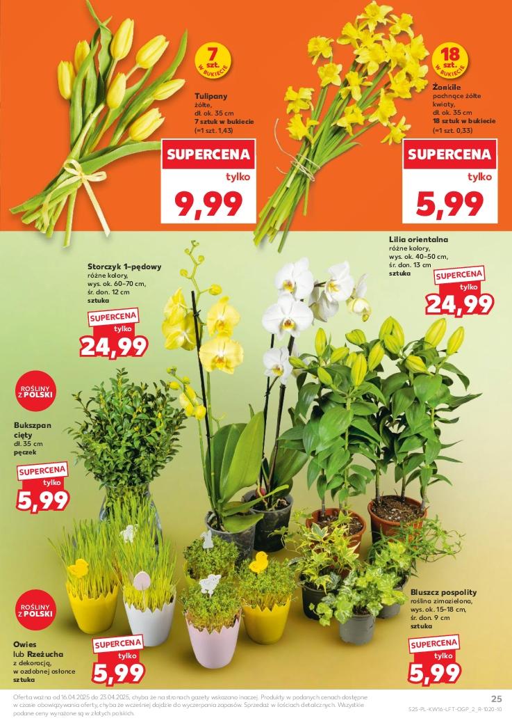 Gazetka promocyjna Kaufland str. 25