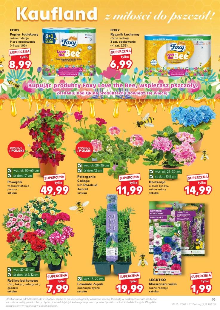 Gazetka promocyjna Kaufland str. 19