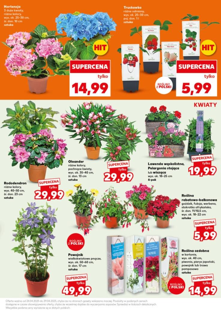 Gazetka promocyjna Kaufland str. 19