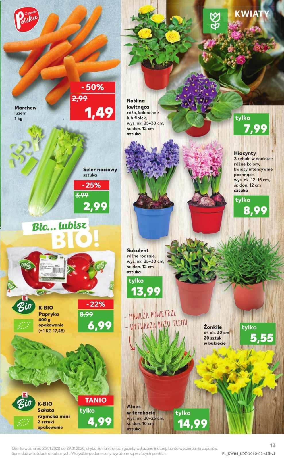 Gazetka promocyjna Kaufland str. 13