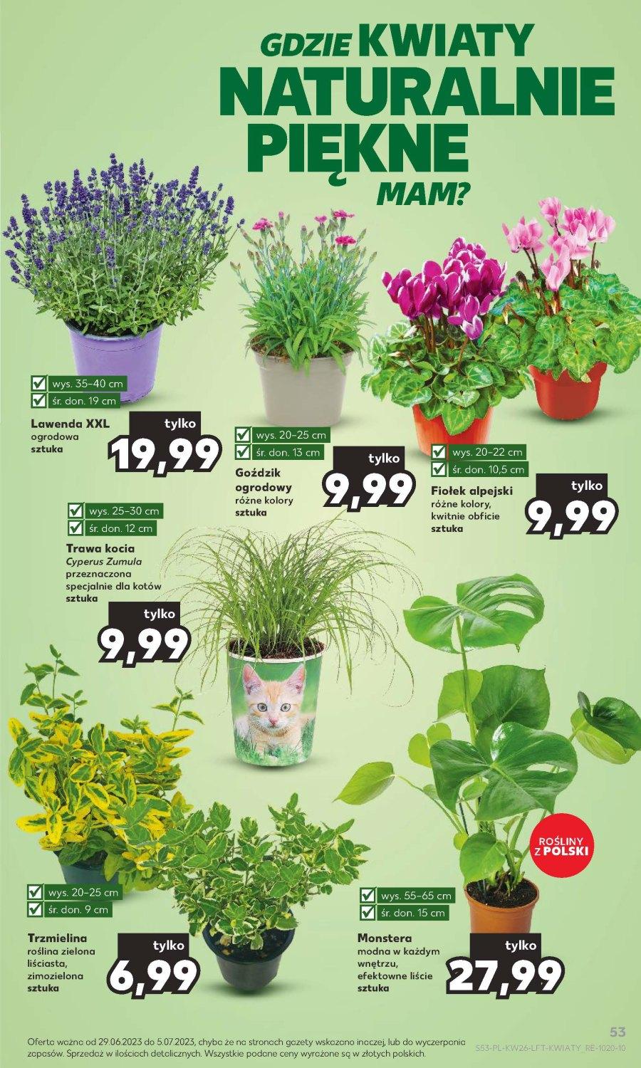 Gazetka promocyjna Kaufland str. 53