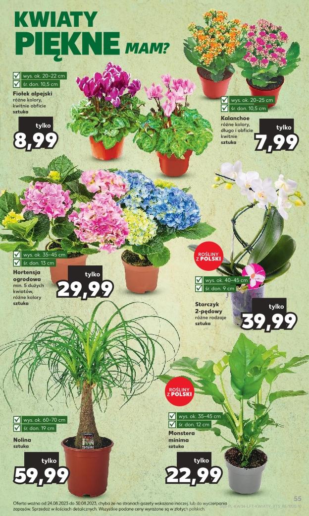 Gazetka promocyjna Kaufland str. 55
