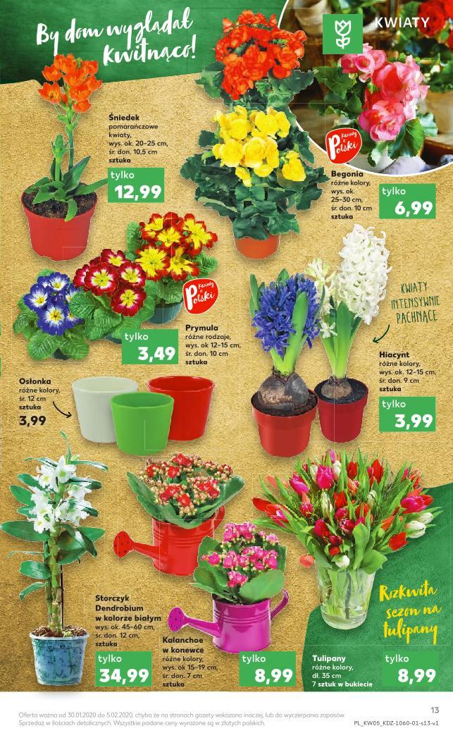 Gazetka promocyjna Kaufland str. 13