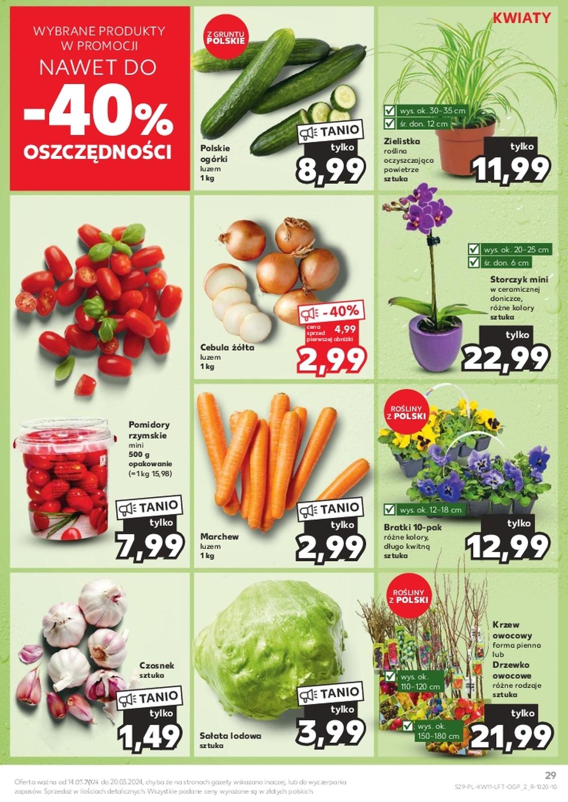 Gazetka promocyjna Kaufland str. 29