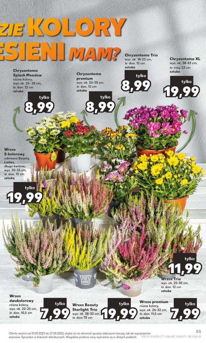 Gazetka promocyjna Kaufland str. 55