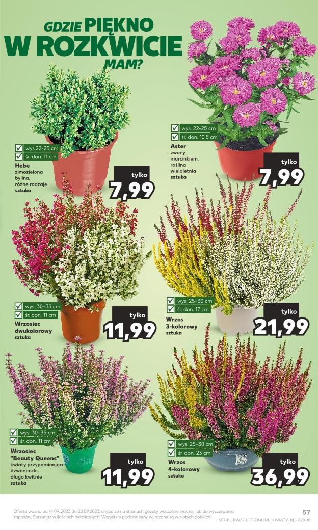 Gazetka promocyjna Kaufland str. 57