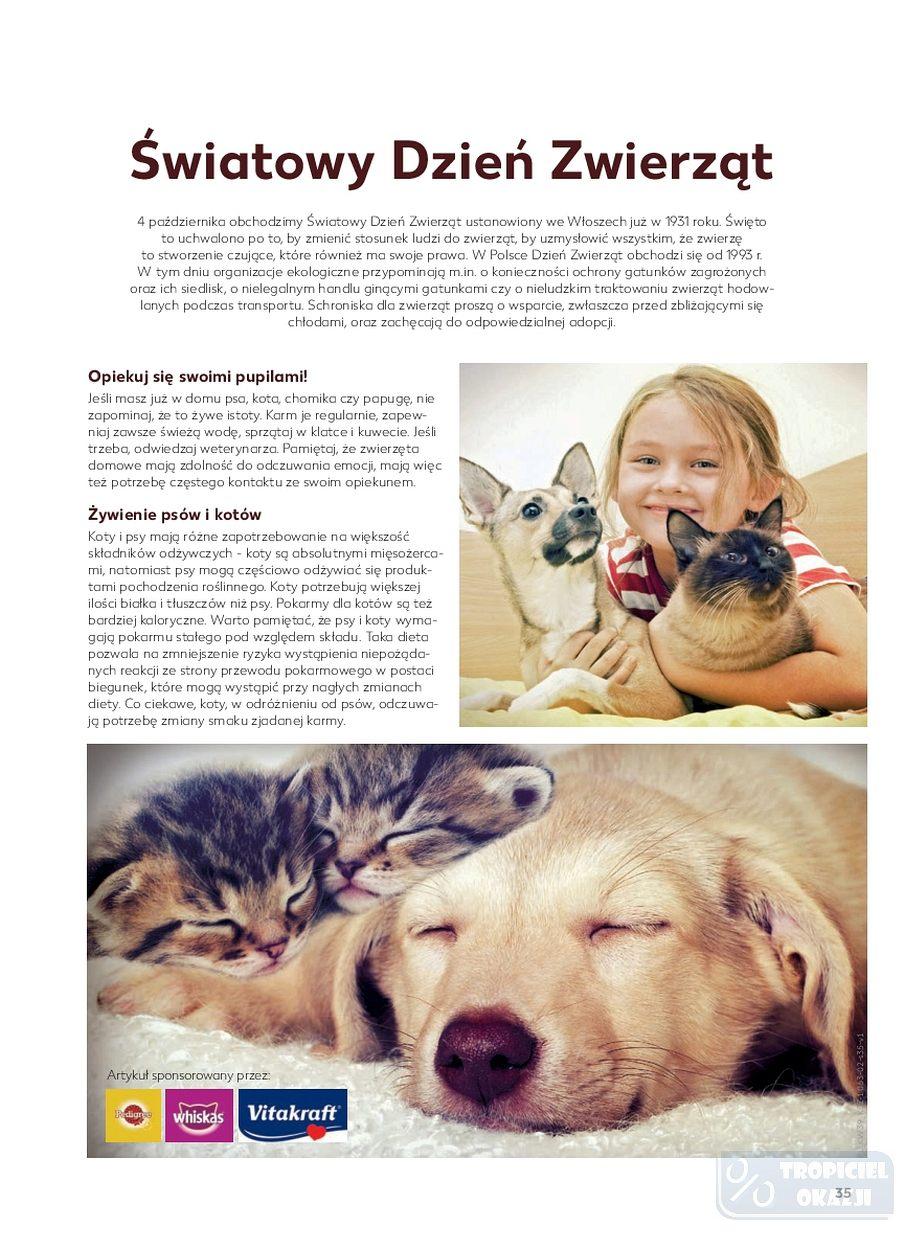 Gazetka promocyjna Kaufland str. 35