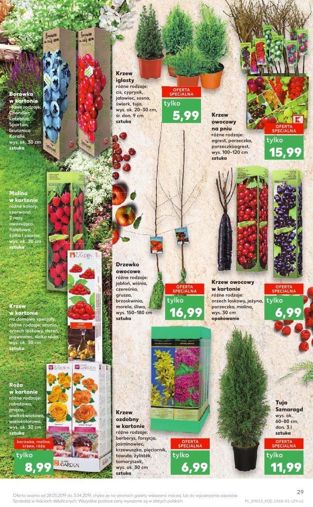 Gazetka promocyjna Kaufland str. 29