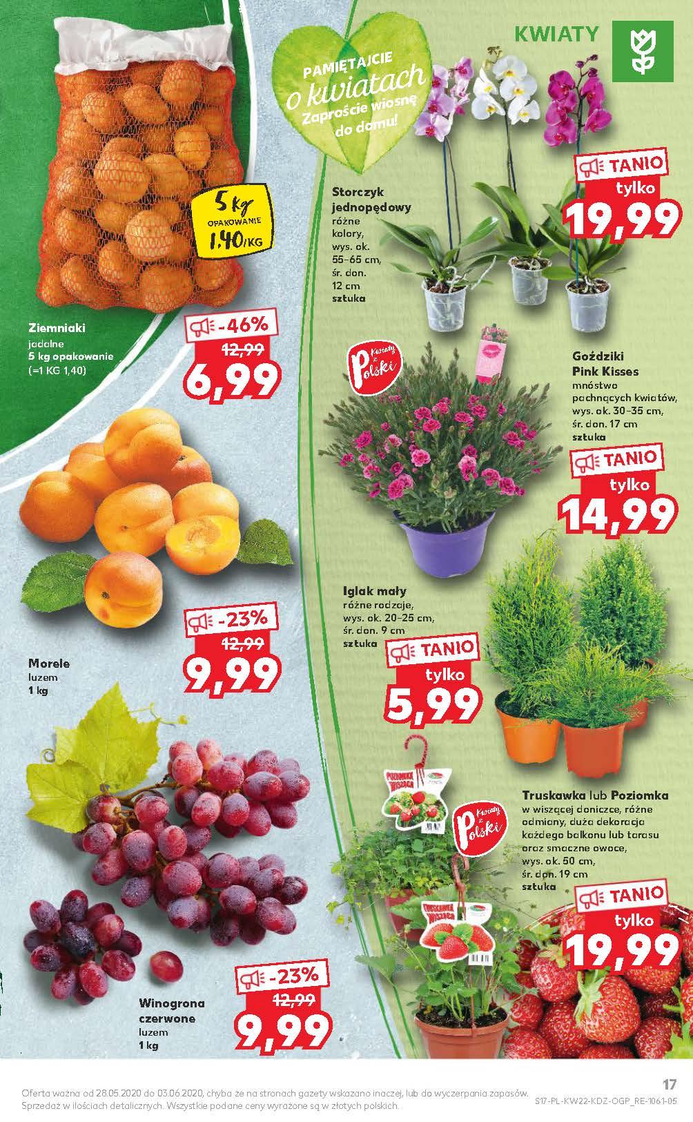 Gazetka promocyjna Kaufland str. 17