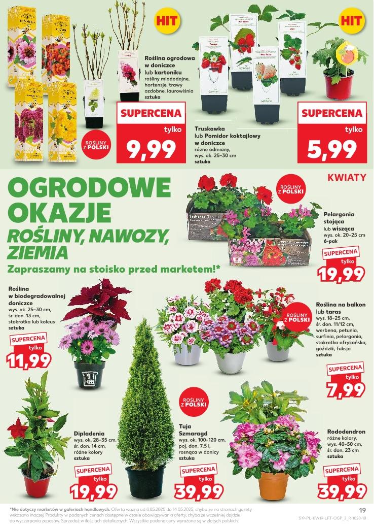 Gazetka promocyjna Kaufland str. 19
