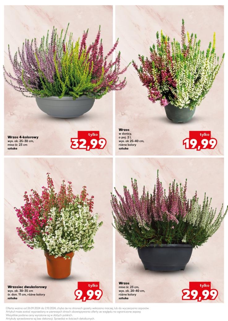 Gazetka promocyjna Kaufland str. 11