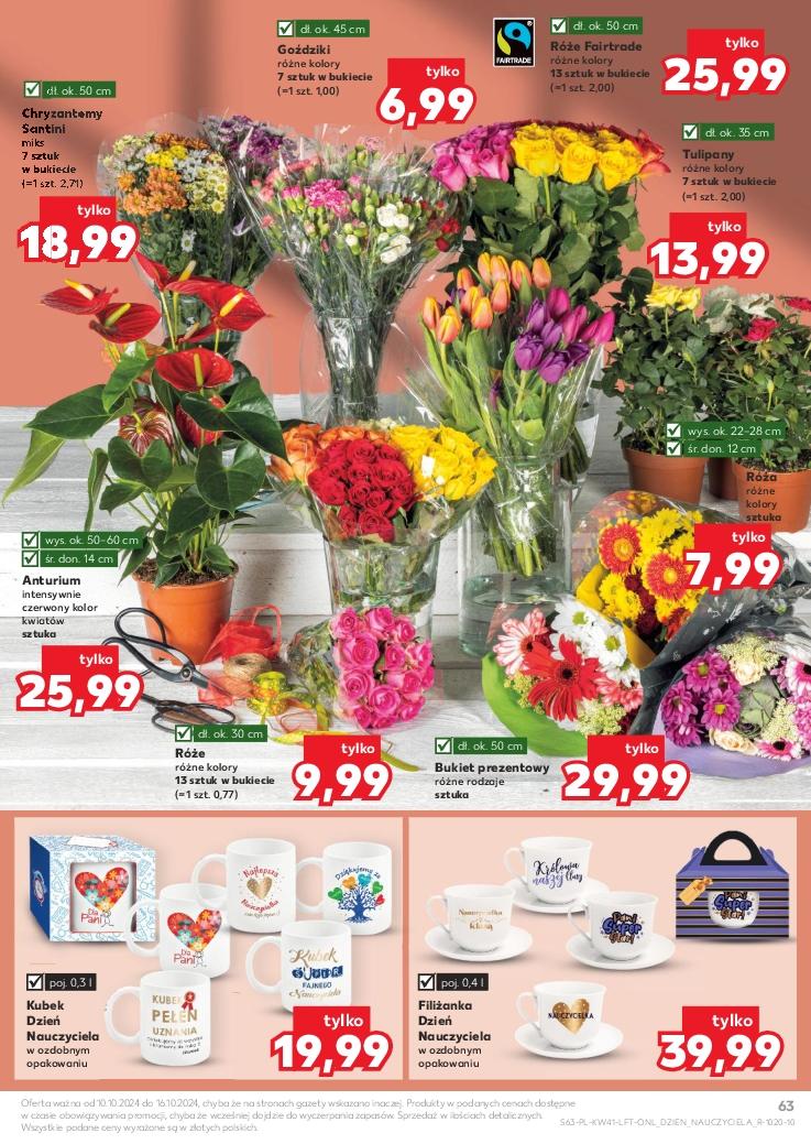 Gazetka promocyjna Kaufland str. 63