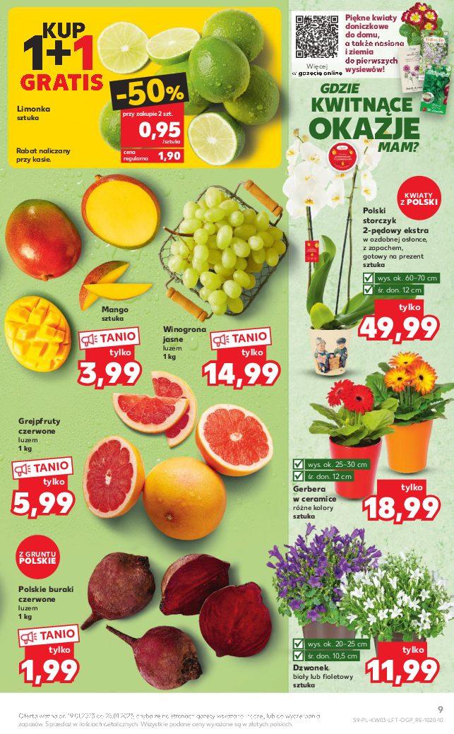 Gazetka promocyjna Kaufland str. 9