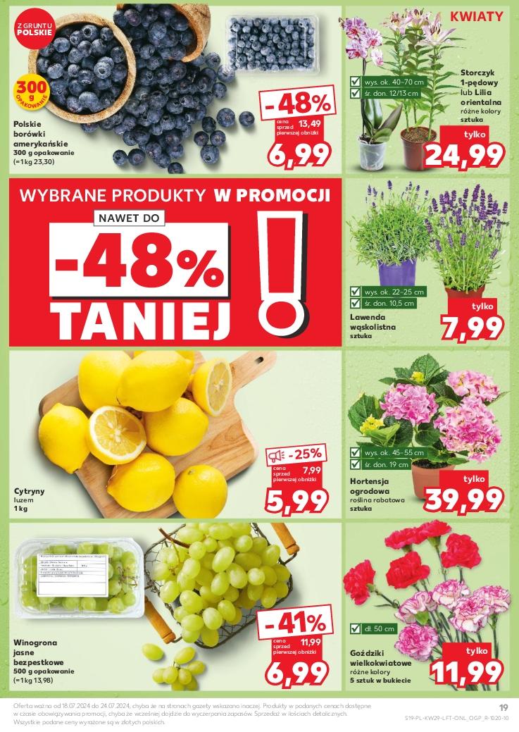 Gazetka promocyjna Kaufland str. 19