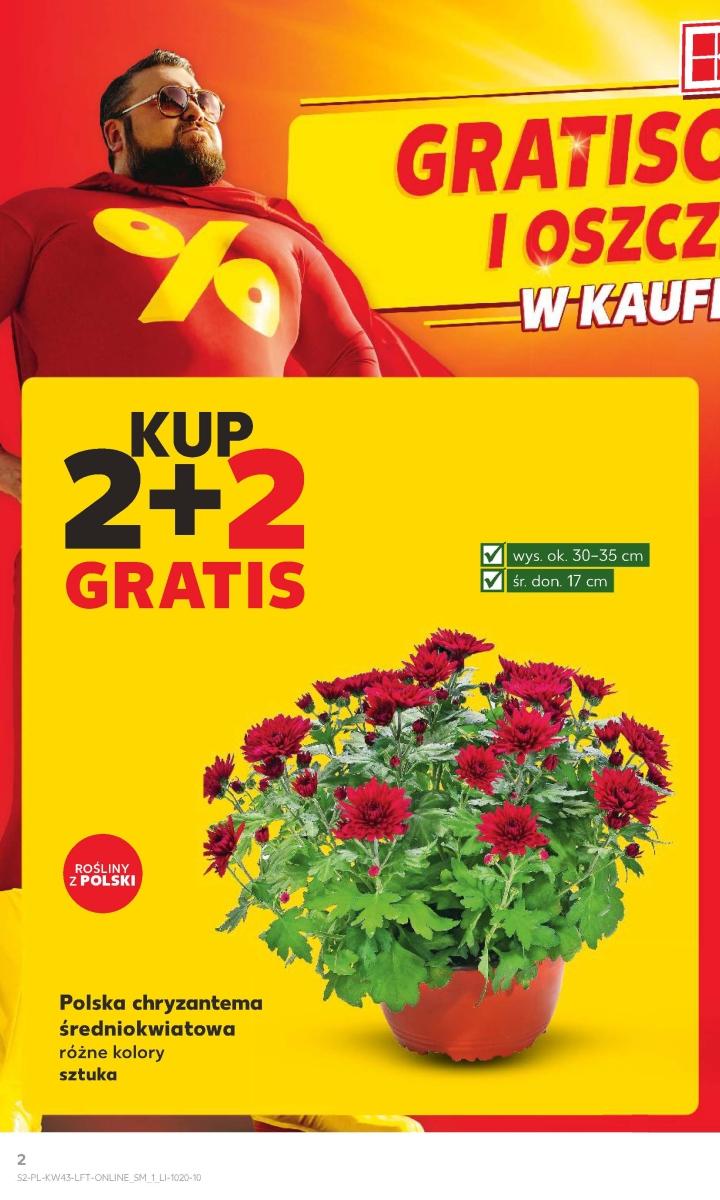 Gazetka promocyjna Kaufland str. 2