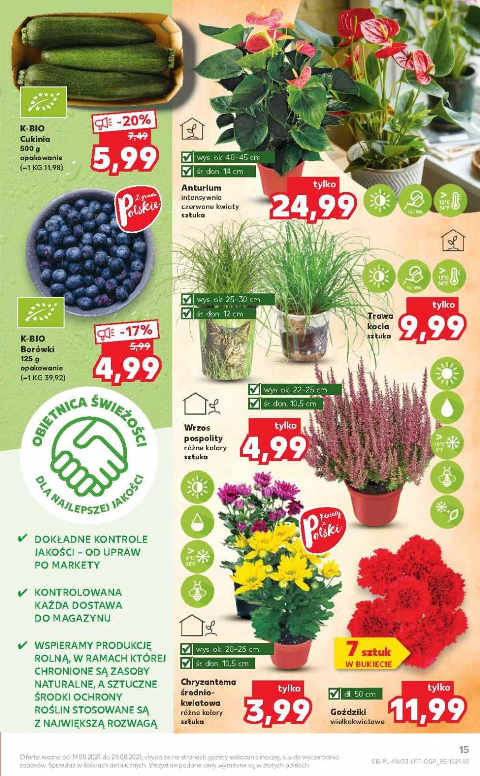 Gazetka promocyjna Kaufland str. 13