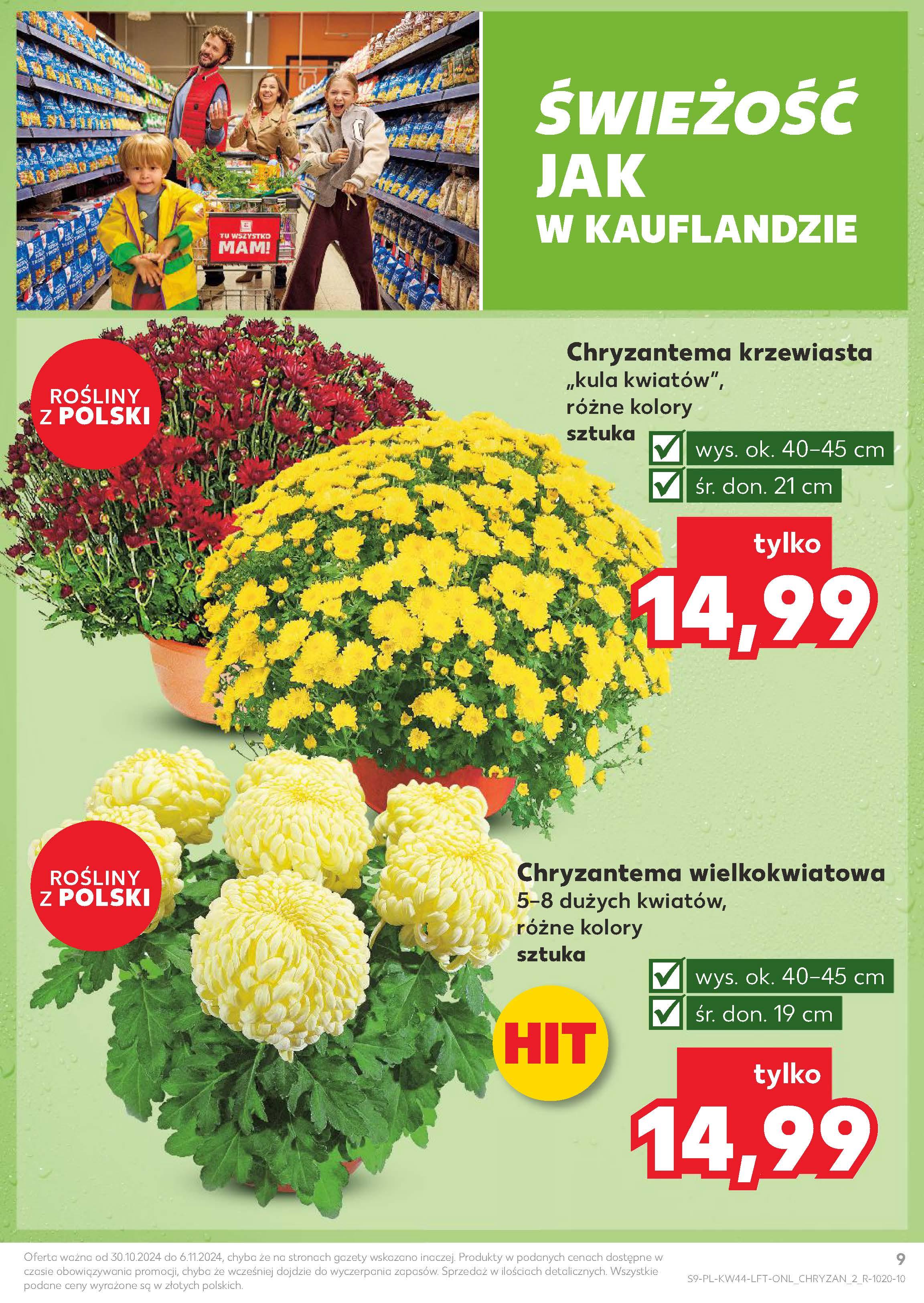 Gazetka promocyjna Kaufland str. 9