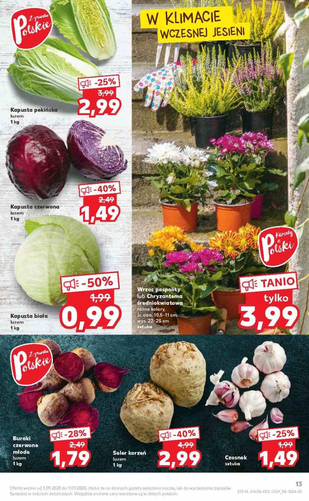 Gazetka promocyjna Kaufland str. 13