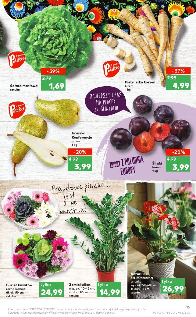 Gazetka promocyjna Kaufland str. 15
