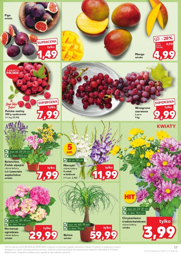 Gazetka promocyjna Kaufland str. 17