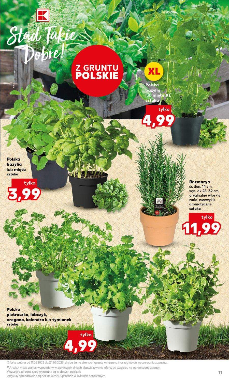 Gazetka promocyjna Kaufland str. 11