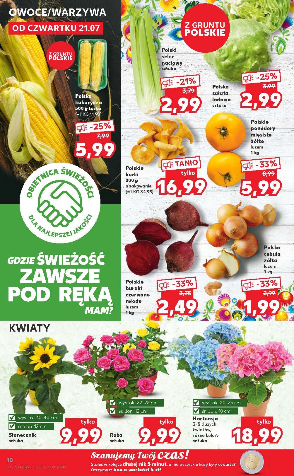 Gazetka promocyjna Kaufland str. 10