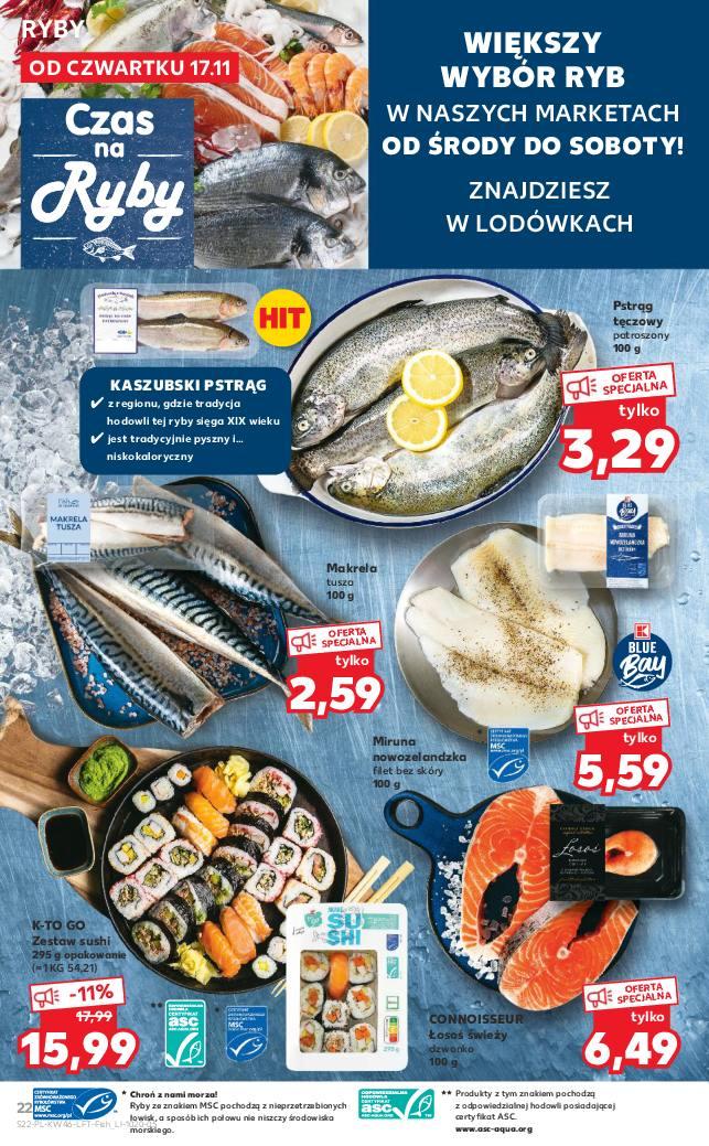 Gazetka promocyjna Kaufland str. 22