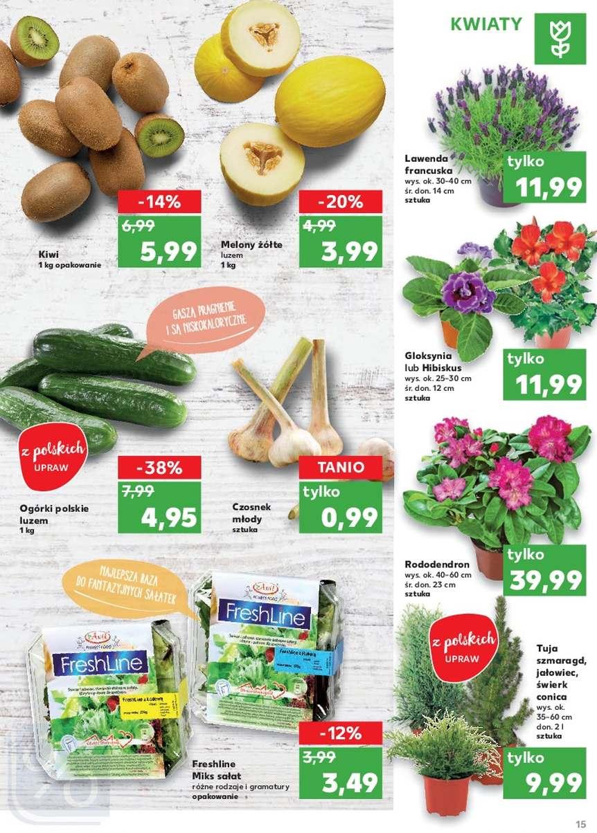 Gazetka promocyjna Kaufland str. 15