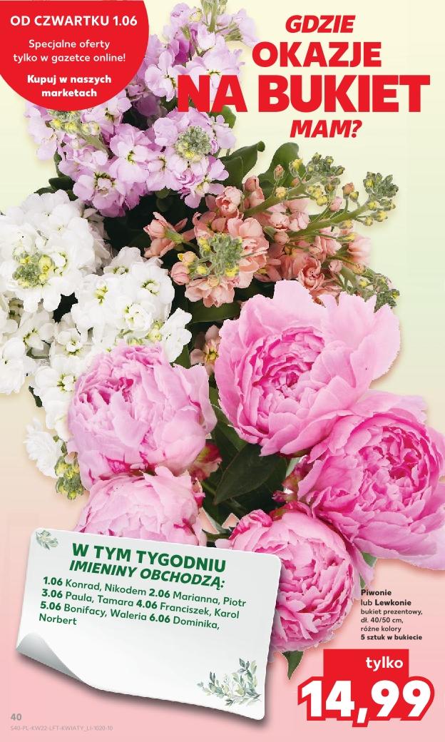 Gazetka promocyjna Kaufland str. 40