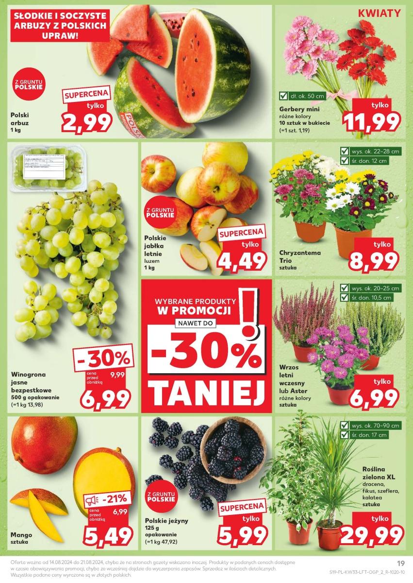 Gazetka promocyjna Kaufland str. 19