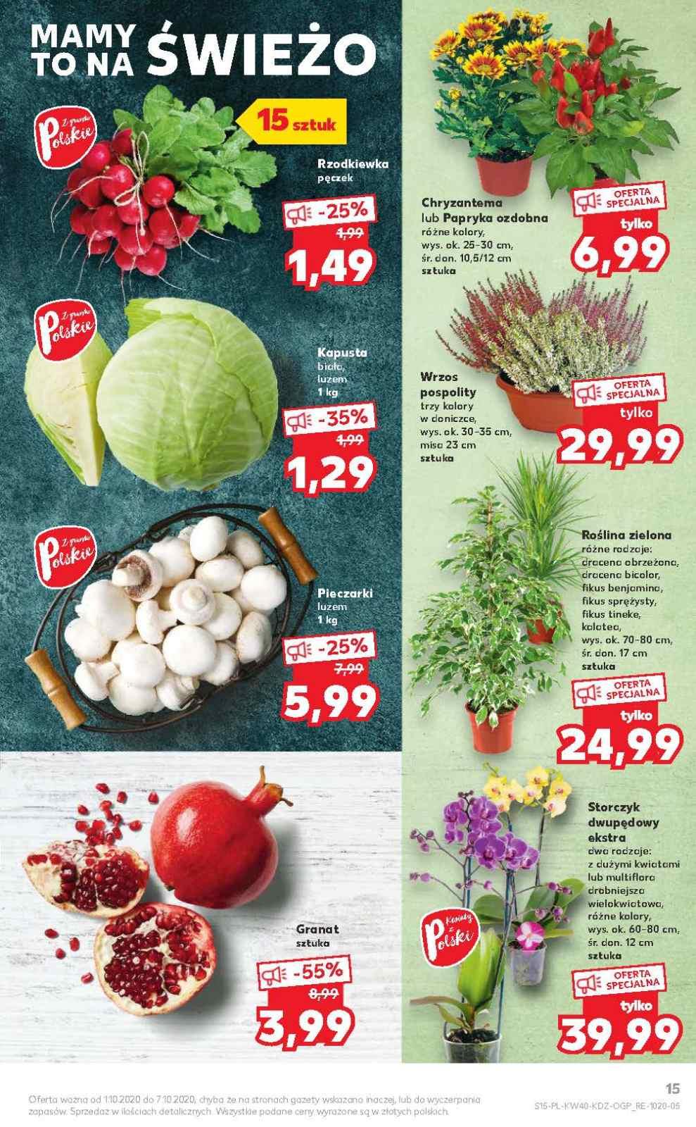 Gazetka promocyjna Kaufland str. 15