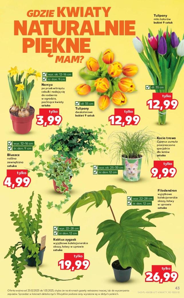 Gazetka promocyjna Kaufland str. 43