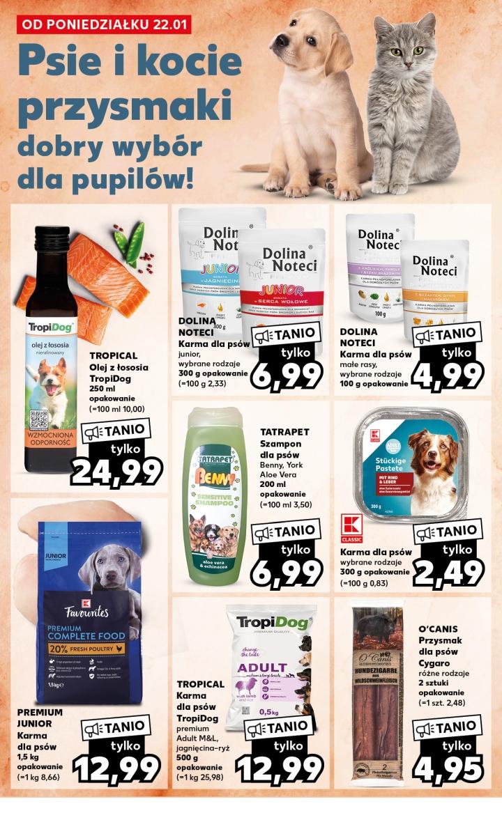 Gazetka promocyjna Kaufland str. 22