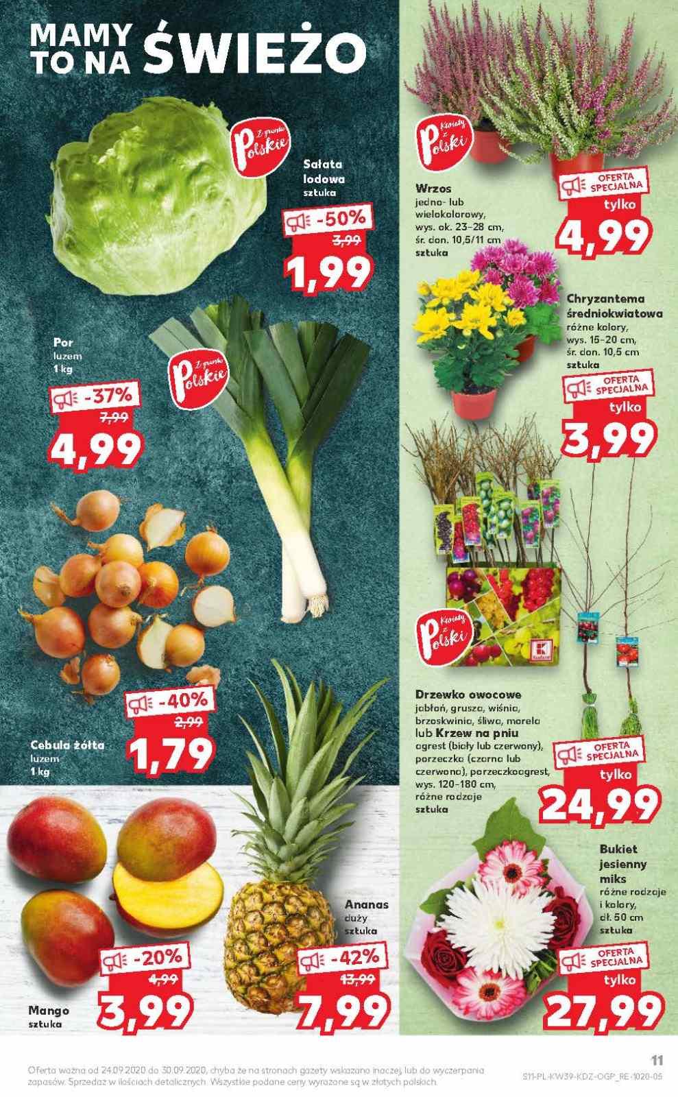 Gazetka promocyjna Kaufland str. 11