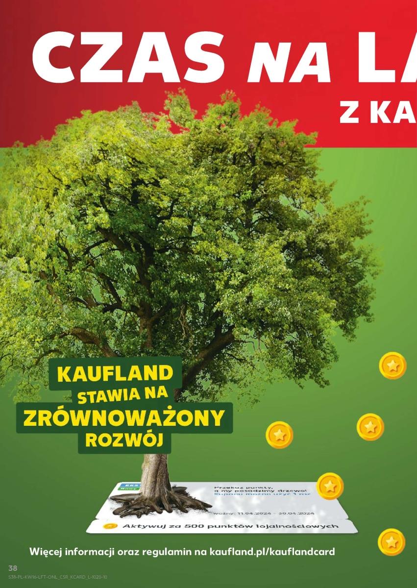 Gazetka promocyjna Kaufland str. 38