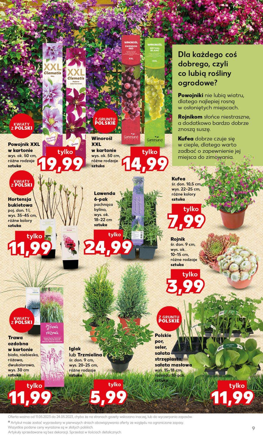 Gazetka promocyjna Kaufland str. 9