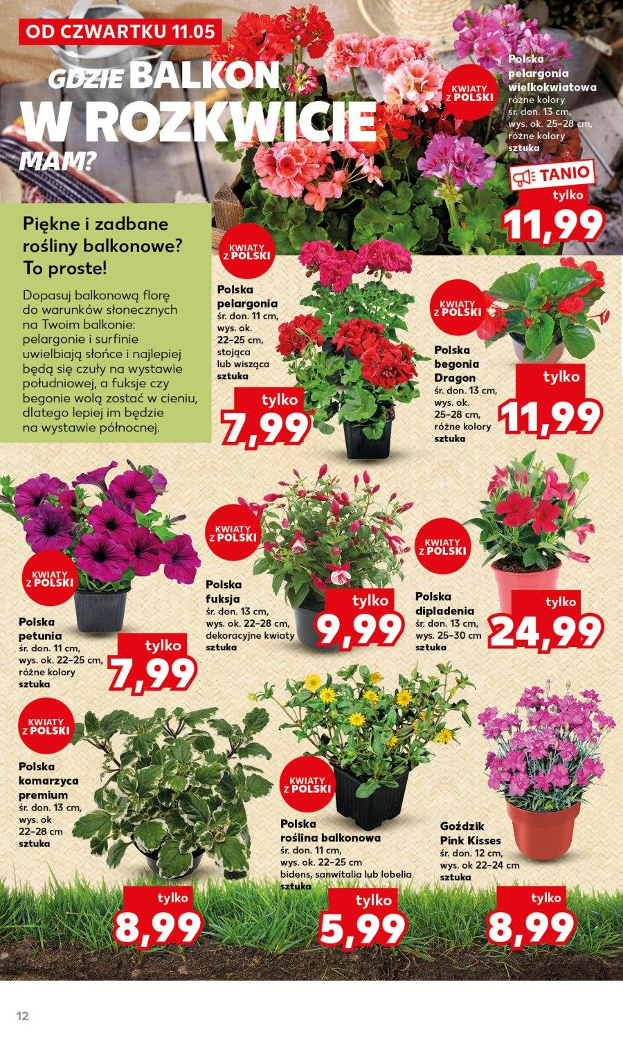 Gazetka promocyjna Kaufland str. 12