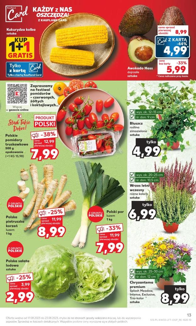 Gazetka promocyjna Kaufland str. 13