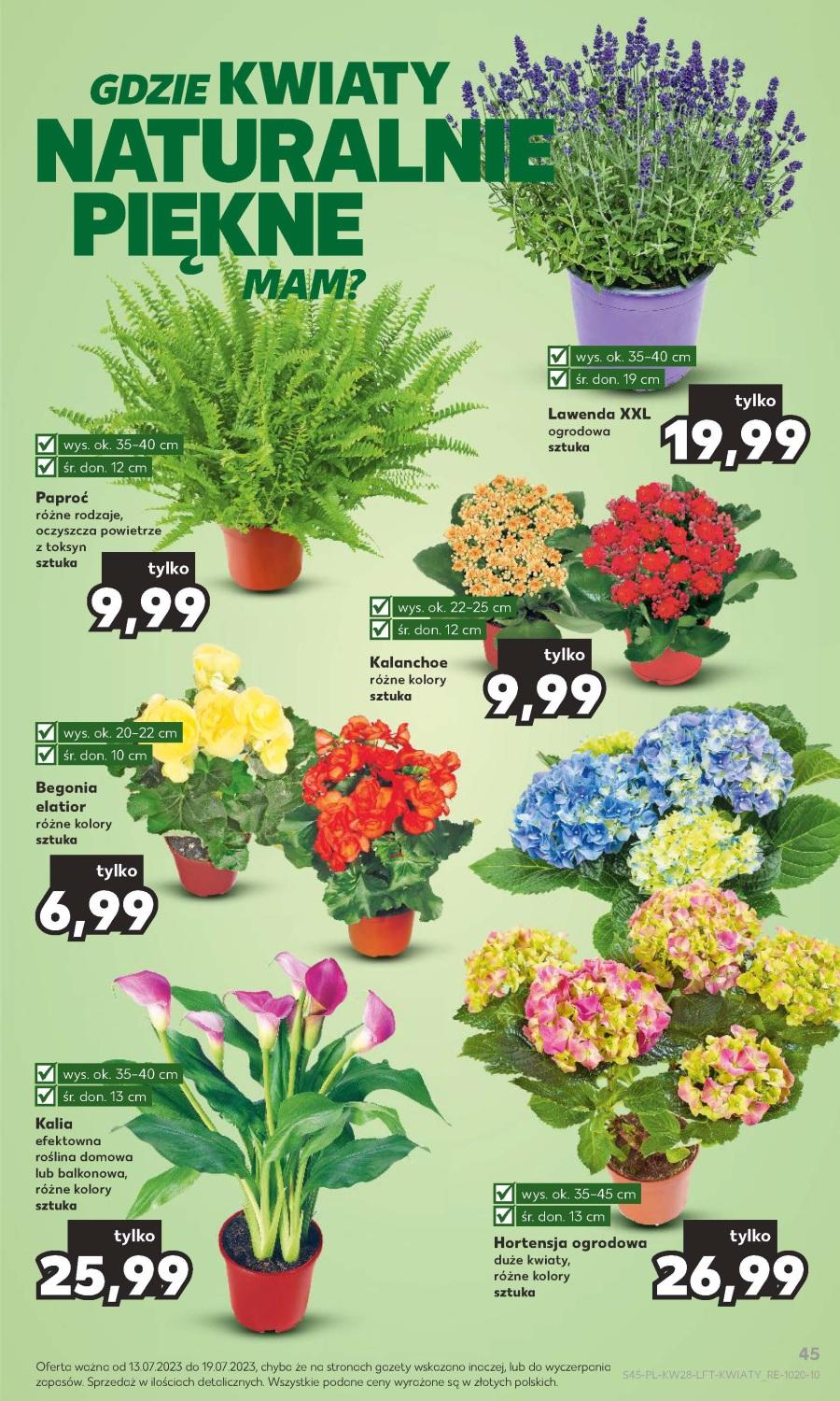 Gazetka promocyjna Kaufland str. 45