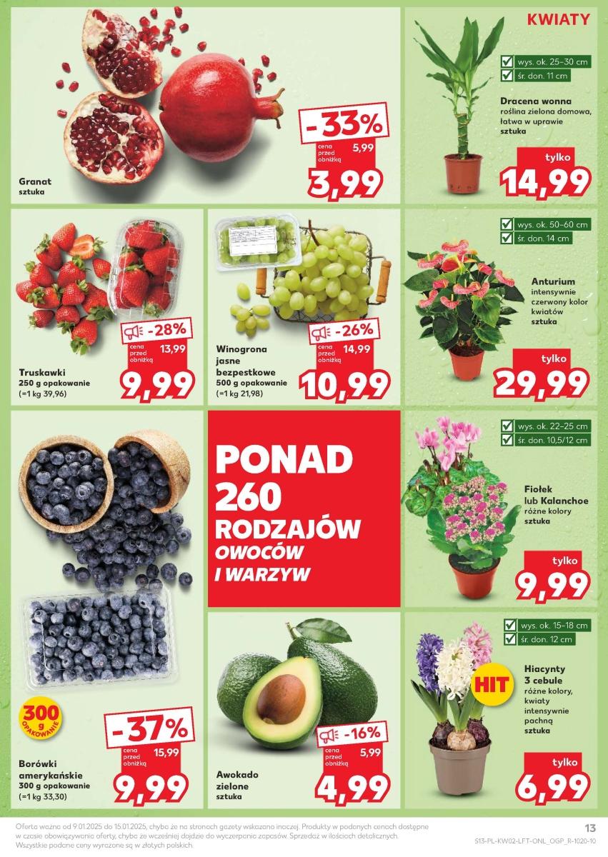 Gazetka promocyjna Kaufland str. 13