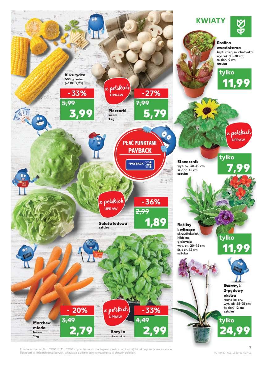 Gazetka promocyjna Kaufland str. 7