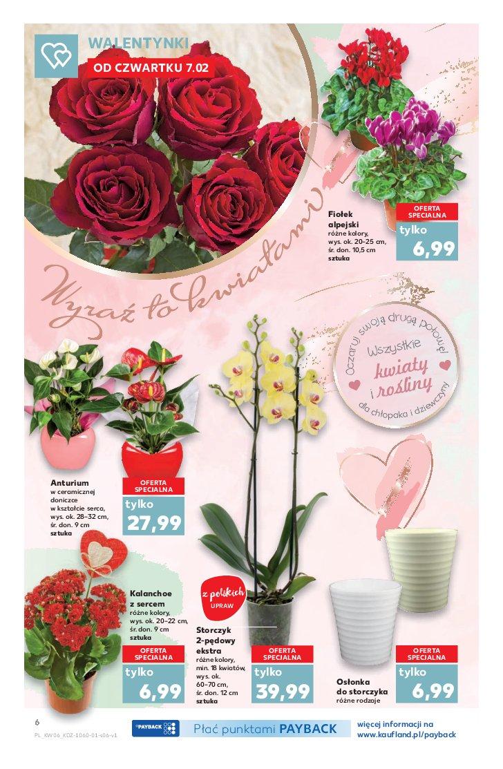 Gazetka promocyjna Kaufland str. 6
