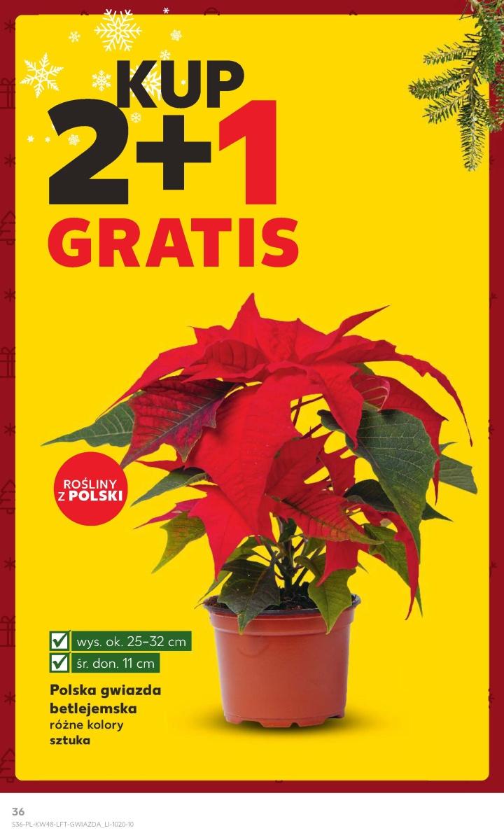 Gazetka promocyjna Kaufland str. 36