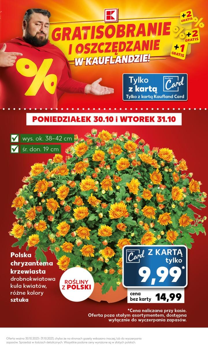 Gazetka promocyjna Kaufland str. 3