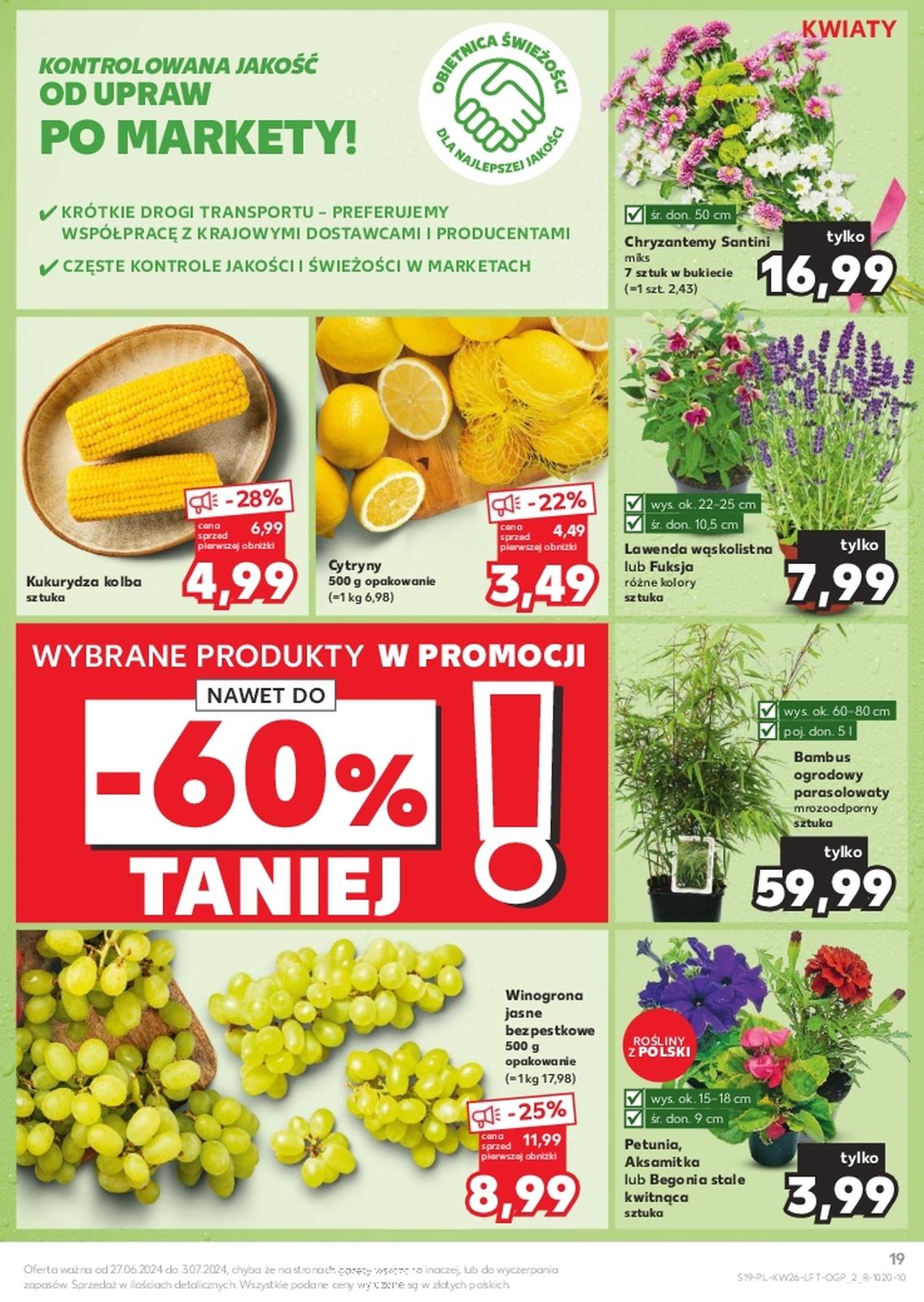 Gazetka promocyjna Kaufland str. 19