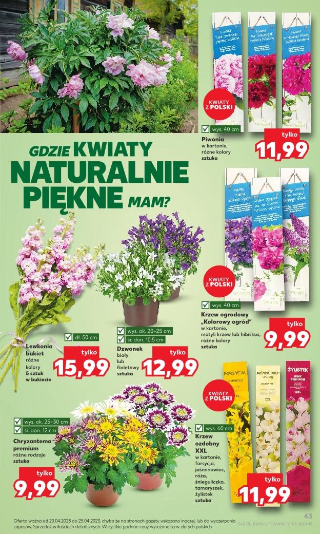 Gazetka promocyjna Kaufland str. 43